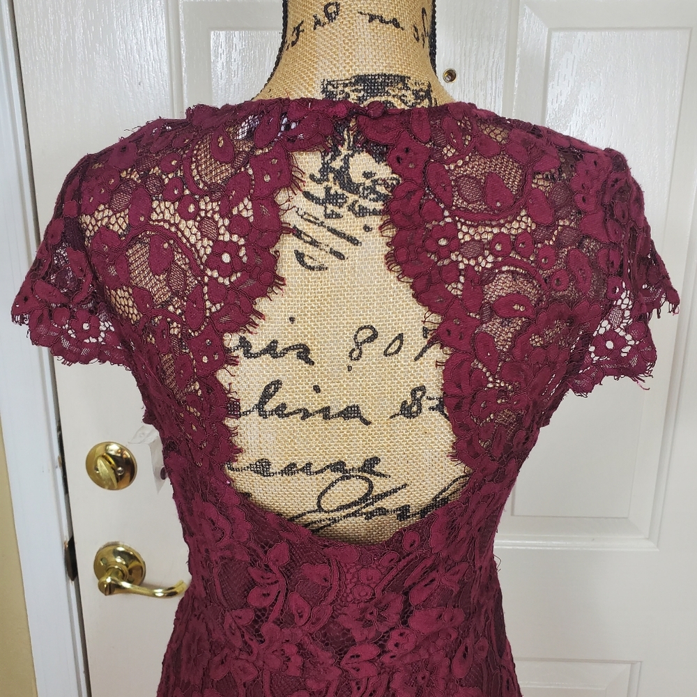 Show Me Your Mumu Alice Maroon Floral Dress - Picture 6 of 8